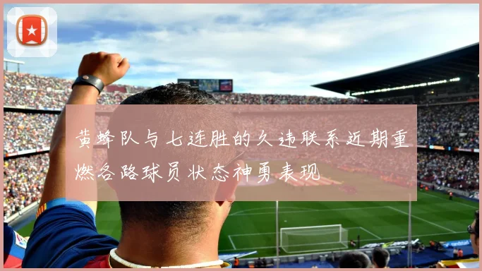 黄蜂队与七连胜的久违联系近期重燃各路球员状态神勇表现