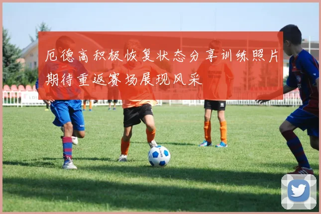 厄德高积极恢复状态分享训练照片期待重返赛场展现风采